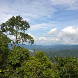 Eco Tourism