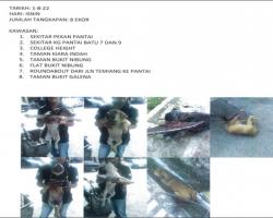 LAPORAN OPERASI TANGKAPAN ANJING LIAR / TERBIAR DI DALAM KAWASAN PENTADBIRAN MAJLIS BANDARAYA SEREMBAN 