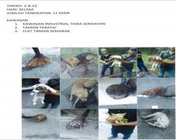 LAPORAN OPERASI TANGKAPAN ANJING LIAR / TERBIAR DI DALAM KAWASAN PENTADBIRAN MAJLIS BANDARAYA SEREMBAN 