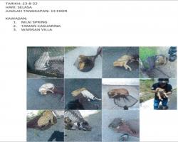 LAPORAN OPERASI TANGKAPAN ANJING LIAR / TERBIAR DI DALAM KAWASAN PENTADBIRAN MAJLIS BANDARAYA SEREMBAN 