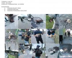 LAPORAN OPERASI TANGKAPAN ANJING LIAR / TERBIAR DI DALAM KAWASAN PENTADBIRAN MAJLIS BANDARAYA SEREMBAN 