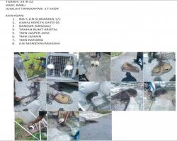 LAPORAN OPERASI TANGKAPAN ANJING LIAR / TERBIAR DI DALAM KAWASAN PENTADBIRAN MAJLIS BANDARAYA SEREMBAN 
