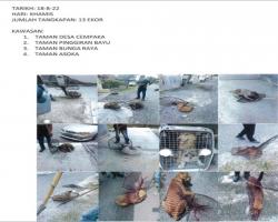 TANGKAPAN ANJING LIAR/TERBIAR