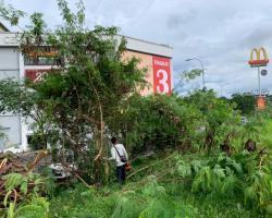 LAPORAN PEMBERSIHAN SEMAK SAMUN DI PERSIMPANGAN LINGKARAN TENGAH JALAN DATO’ MUDA LINGGI