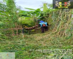 PEMBERSIHAN SEMAK SAMUN OLEH PASUKAN TASK FORCE DI TANAH PERKUBURAN SENAWANG