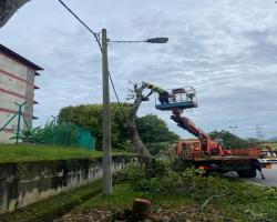 KERJA - KERJA PENEBANGAN POKOK